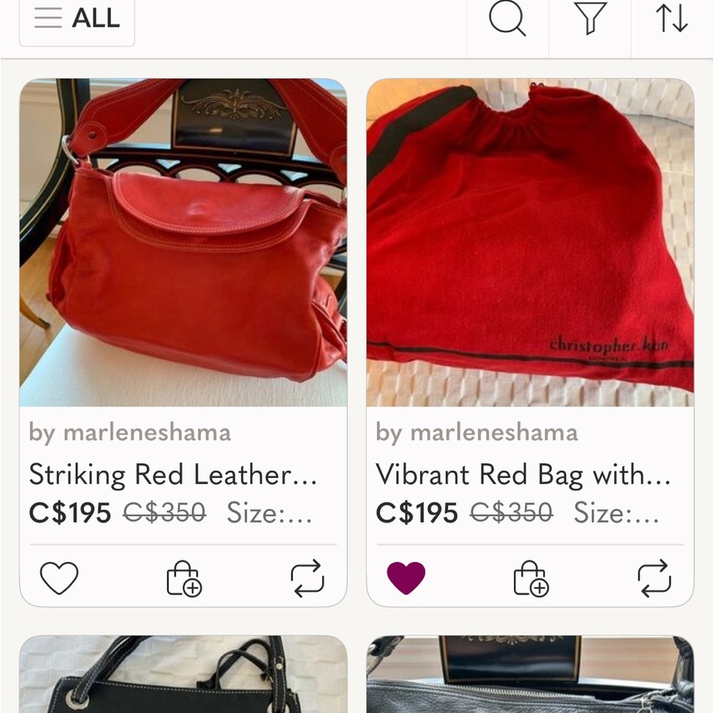 Vibrant Red Bag with Sleek Design
